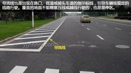 红绿灯前“越线停车”的心态解析🚲🚦